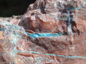 Bisbee Turquoise in Jasper Host Rock