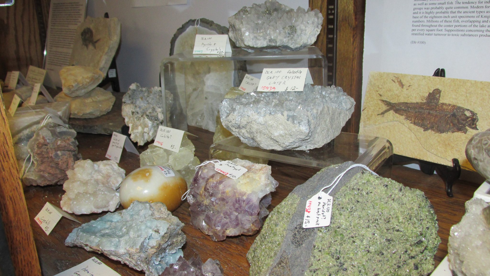 Selection of Rocks and Minerals