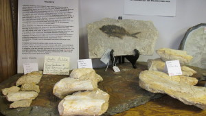 Selection of Geodes