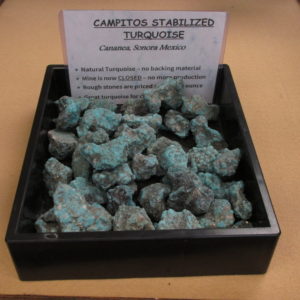 Campitos Stabilized Turquoise